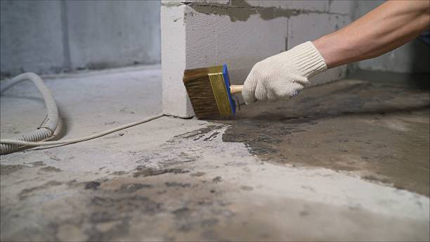SJ Waterproofing Pros Crawl Space Encapsulation coverage map for Demotte, IN and surrounding area